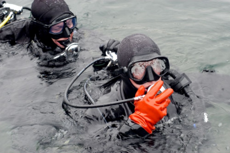 Diver had been harvesting eelgrass for mill site cleanup project