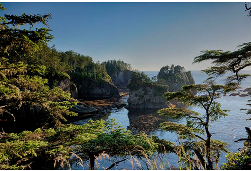 Coast Guard searching for missing, experienced diver near Washington’s Cape Flattery