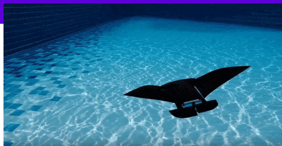 This robotic manta ray may speed underwater search and rescue